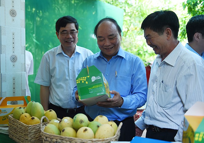 Le Premier ministre en déplacement à Dông Thap - ảnh 1